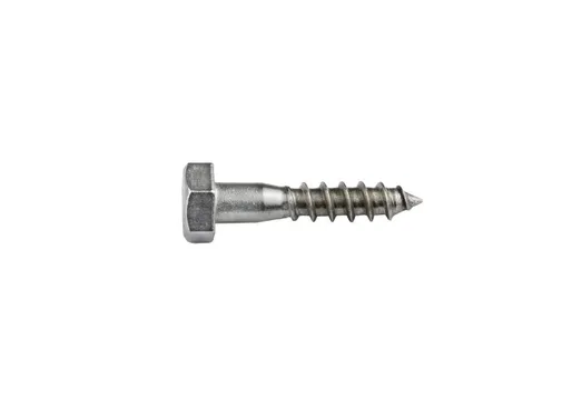 Houtdraadbout RVS 10x40mm