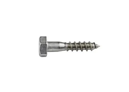 Houtdraadbout RVS 10x50mm