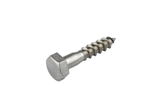 Houtdraadbout RVS 10x50mm