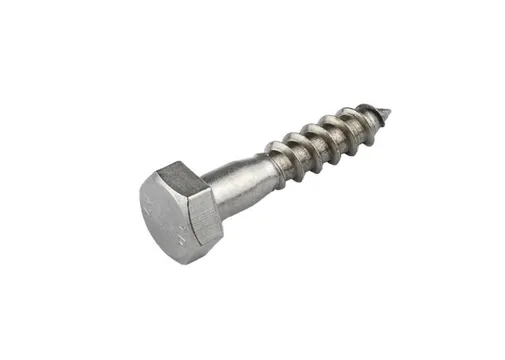 Houtdraadbout RVS 10x60mm