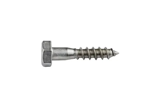 Houtdraadbout RVS 10x60mm