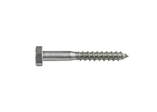 Houtdraadbout RVS 10x70mm