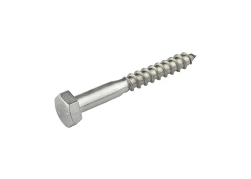 Houtdraadbout RVS 10x70mm