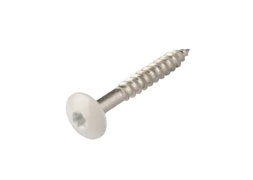 HPL Compact schroef 4,8x38mm zuiver wit RAL 9010