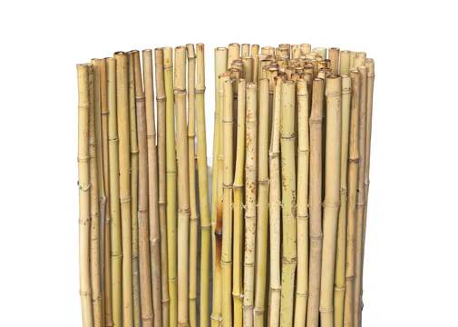 Natuurscherm bamboe