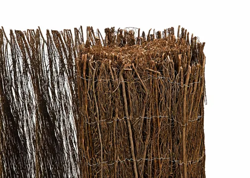 Natuurscherm dopheide