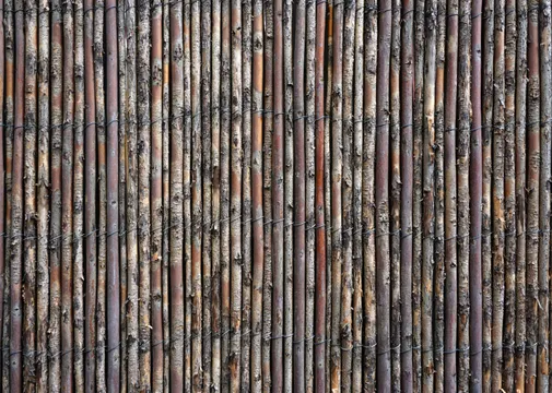 Natuurscherm wilg