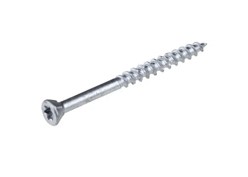 Schroef RVS 5x60mm Torx T25 (SUS410)