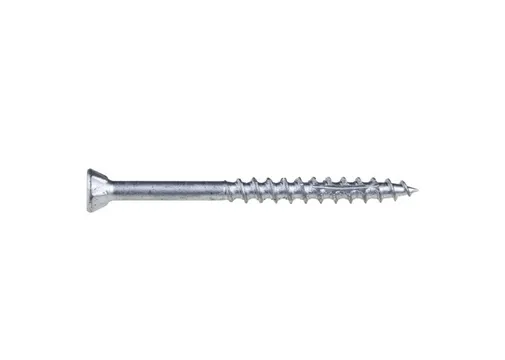 Schroef RVS 5x60mm Torx T25 (SUS410)