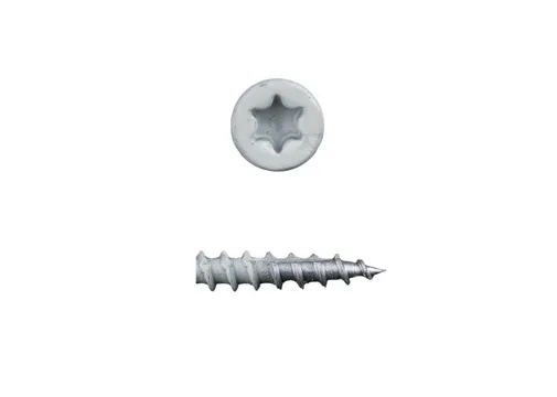 Schroef RVS 5x50mm Torx (SUS410) wit Ral 9010 gepoedercoat