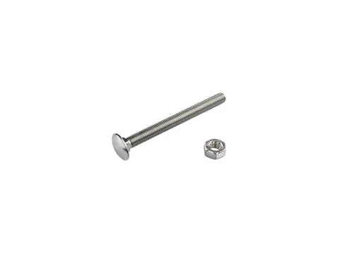 Slotbout met moer RVS M8x100mm