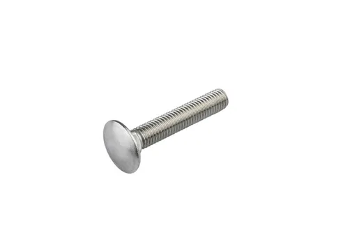 Slotbout RVS M10x50mm