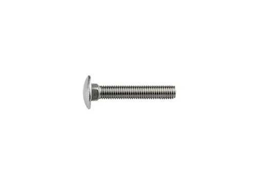 Slotbout RVS M10x60mm