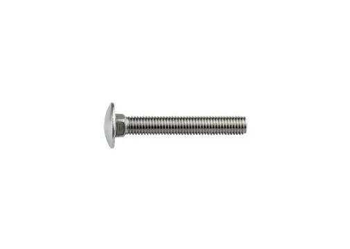Slotbout RVS M10x70mm