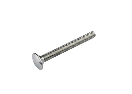 Slotbout RVS M10x80mm