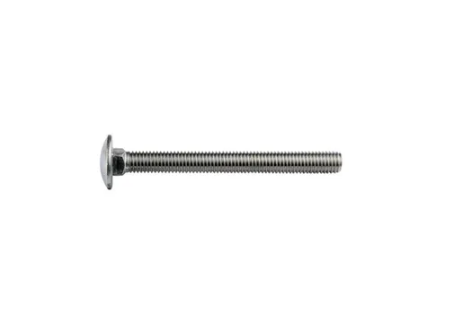Slotbout RVS M8x100mm