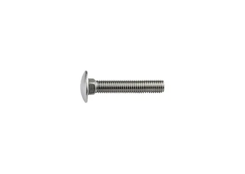 Slotbout RVS M8x50mm