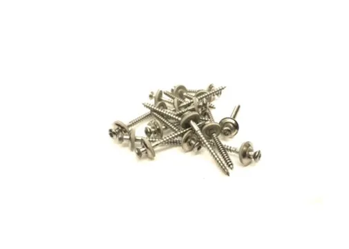 Daktrim schroef RVS 4,5x40mm