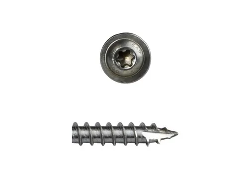 Tellerkopschroef RVS 8x100mm Torx T40