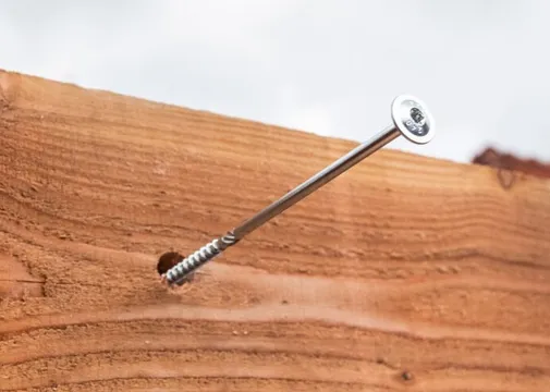 Tellerkopschroef RVS 8x100mm Torx T40